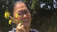 Lolit Solis, sinabing ilaan ang Good Friday para magnilay at magdasal: “Kailangan magdasal at magnilaynilay”