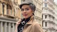 Dawn Zulueta, inaliw ang netizens sa komentong iniwan niya sa post ni Christian Antolin