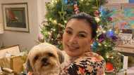 Sharon Cuneta unwinds; posts cryptic message about letting go