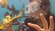 Alex Gonzaga thanks Jessy Mendiola for shooting her impressive underwater video