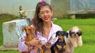 Herlene Nicole Budol sa komentong dinog-show niya ang Q&A: "Dog lover po kasi ako"