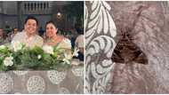 Leni Robredo posts about brown moth that appears in family events including daughter’s wedding