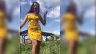 Lady falls into carabao's mudhole while executing slow-mo of "Magandang Dilag" challenge