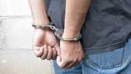 Guard's lapse leads to gun robbery, arrests in Rodriguez