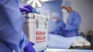 I donated my kidney to my husband — Three weeks later, a stranger exposed him