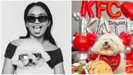 Kathryn Bernardo shows fun KFC moments with pet dog Snowy