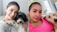 Carla Abellana, agrees with Jelai Andres' post about aspin