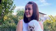 Bea Alonzo at John Lloyd Cruz, magtatambal muli sa pelikula sa Star Cinema