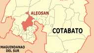 4 patay, 29 sugatan sa trahedya ng truck sa Cotabato
