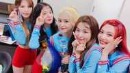 Red Velvet members profile: birthdays, height, age, main singer