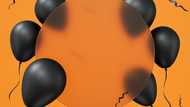 Someone sent me a gift with black balloons on the day I gave birth – When I opened the box, I gasped