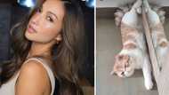 Solenn Heussaff, umapela para sa nawawalang pusang si 'Gato': "I believe he was stolen"