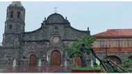 'Kalayaan Tree' sa tabi ng Barasoain Church, naputol dahil sa Bagyong Ulysses