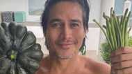 Piolo Pascual shows clump of gray beard along with a bountiful veggie harvest