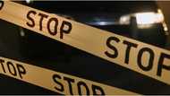 78-year-old woman crossing the pedestrian lane gets hit by a motorcycle