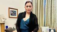 Dina Bonnevie bonds with Baby Jean-Luc Pingris in viral photos