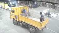 Tragic Accident: motorcycle rider dies after hitting dog and crashing into bus