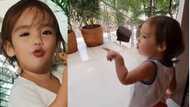 Video ni baby Thylane na paulit-ulit sinisigaw ang “taho”, kinaaliwan ng netizens