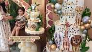 Isabelle Daza throws Safari-themed birthday party for her son Baltie