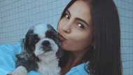 Lovi Poe, nagluluksa sa pagpanaw ng kanyang furbaby na si Phoebe