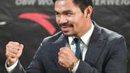 Find out more about Manny Pacquiao: Facts, age, boxing records, and net worth