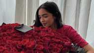 Andrea Brillantes, may pasilip sa kanyang napakasayang 'birthday week'