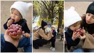 Erwan Heussaff shares adorable pics of wife Anne Curtis and daughter Dahlia captured from their paris trip