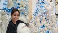 Kathryn Bernardo shows off polar bear-themed Christmas tree; netizens react