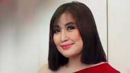 Sharon Cuneta, niresbakan ang basher na inakusahan siyang nag-helicopter pa para makapag-shopping lang sa NY