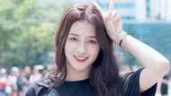 Fascinating details about Nancy McDonie that you cannot afford to miss