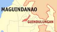 Passenger van inambush sa Maguindanao del Sur: 2 patay, 7 sugatan