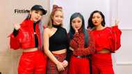 Mamamoo profile: members' names, ages, facts