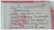 Nakakalokang sulat sa diary ng netizen noong siya'y Grade 4 pa lang, kinagiliwan online