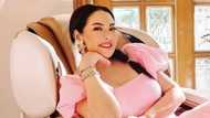 Celebrities and netizens gush over Ruffa Gutierrez's new stunning photo