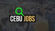 List of amazing jobs in Cebu you can do during your free time