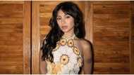 Nadine Lustre claps back at netizen who criticized her flood control projects interview
