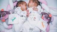 I gave birth to twins – My husband spent time with them & demanded, “We have to give them away!”