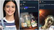 Lasinggera at palamura daw? Alleged controversial tweets of Criza of PBB circulate online