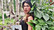 Miss Everything, may matinding banat kahit BBM supporter ka man o Sara supporter