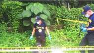 5 bungo ng tao, natagpuan sa loob ng kahon sa isang masukal na lugar sa SJDM