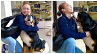 Kathryn Bernardo warms hearts after bonding with stranger’s pet dog