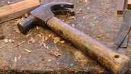 Drinking spree with buddy turns deadly: Man dies after fatal hammer attack in Davao