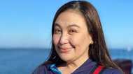 Sharon Cuneta, binalikan ang basher na nagsabing steak ang gusto ni Mega