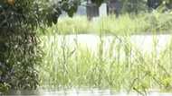 Lalaki, nasawi matapos tumaas ang tubig sa irrigation canal sa La Union