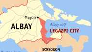 Aspin mula Legazpi, namatay sa lungkot matapos mamatayan ng amo