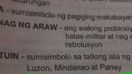 Kids' module says three stars in PH flag symbolize "Luzon, Mindanao at Panay"