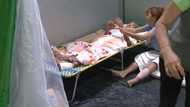 Lola’s last wish while at evacuation center: To see her family before it’s too late