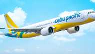 Cebu Pacific, naglabas na ng pahayag ukol sa nag-viral na eksena kung saan sangkot ang MSO
