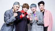 Everything you need to know about Winner members