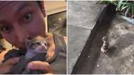 Joseph Marco rescues poor kitten he found lost & alone amid typhoon